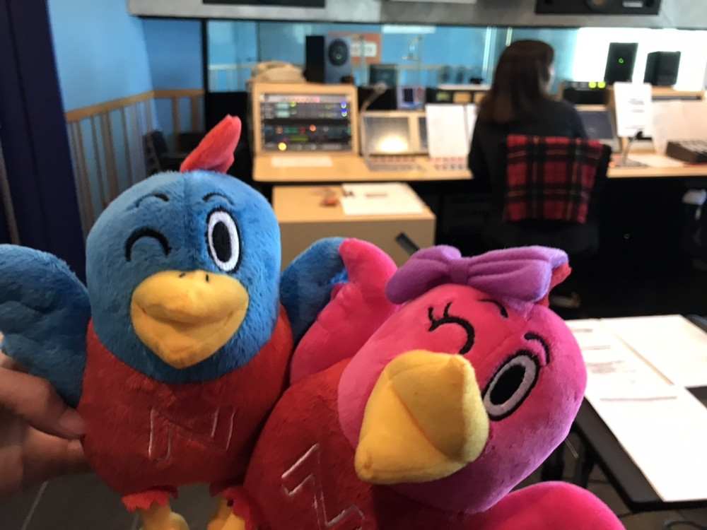 ZIP-FMにてラジオCM、提供コーナーがスタートいたしました